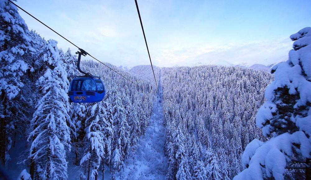 Green Life Bansko, 1 Bedroom Private Apartment D4 Exterior photo